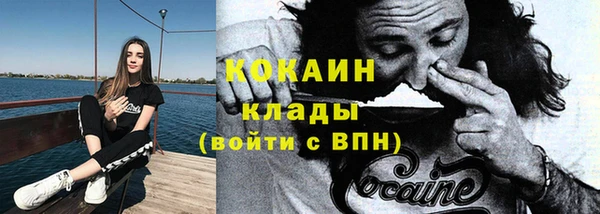 прущая мука Дмитриев