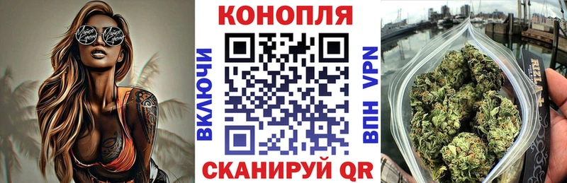 наркота  Гаджиево  гидра как зайти  Шишки марихуана план 